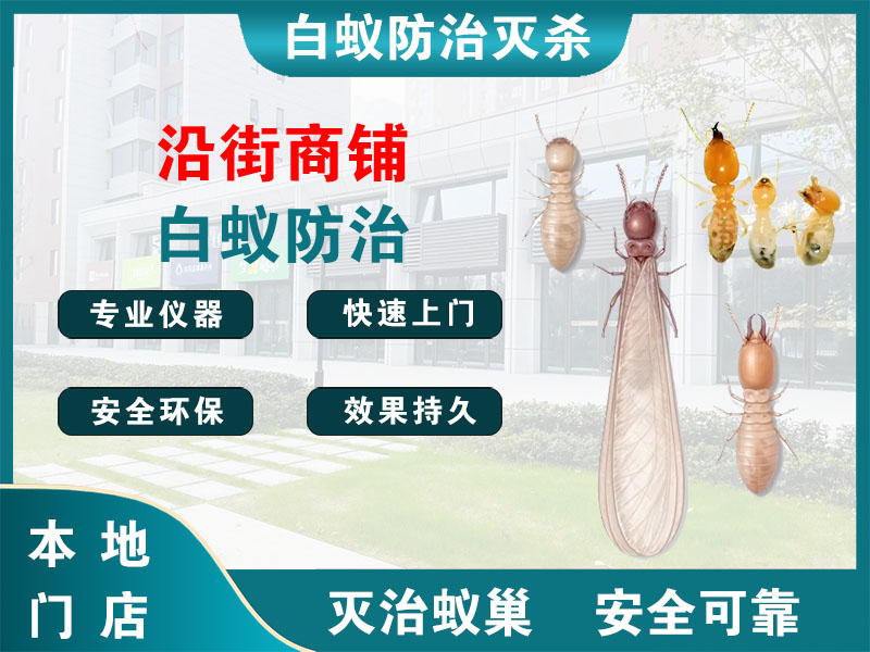 静安区沿街商铺白蚁防治