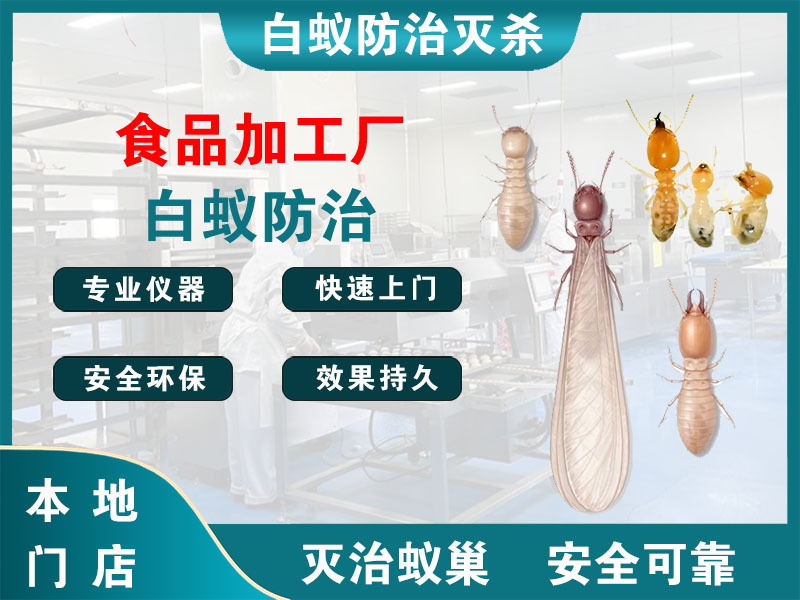 静安区食品加工厂白蚁防治