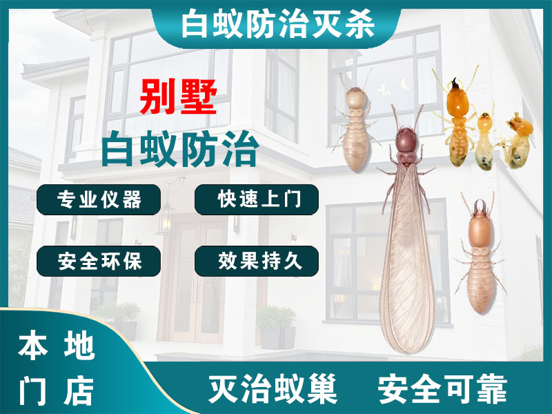 静安区别墅白蚁防治